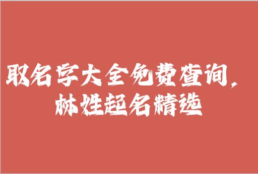 取名字大全免费查询，林姓起名精选