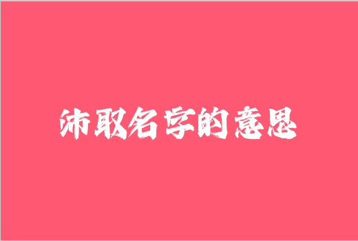 沛取名字的意思