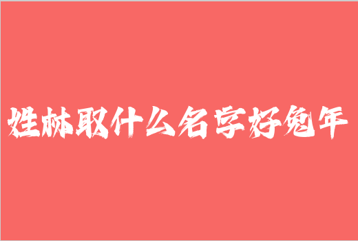 姓林取什么名字好兔年